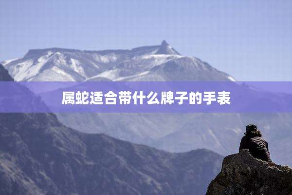 属蛇适合带什么牌子的手表