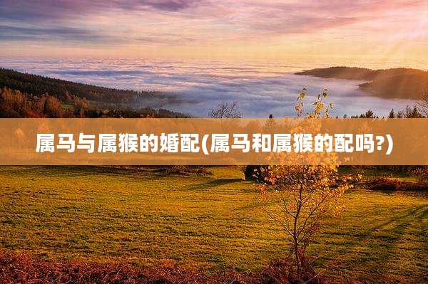 属马与属猴的婚配(属马和属猴的配吗?)