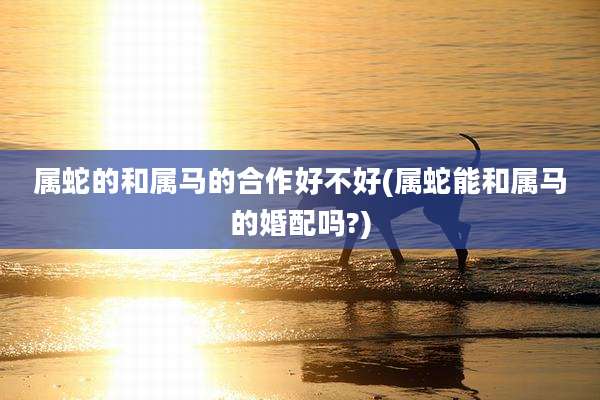 属蛇的和属马的合作好不好(属蛇能和属马的婚配吗?)