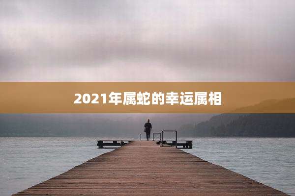 2021年属蛇的幸运属相