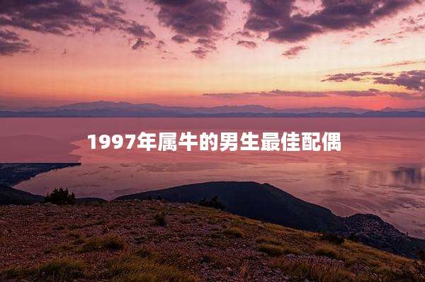1997年属牛的男生最佳配偶