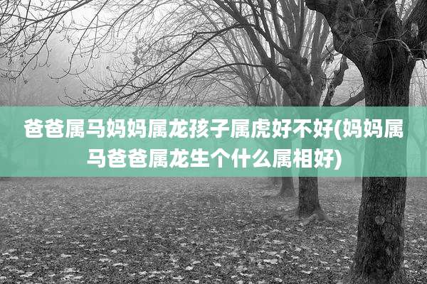 爸爸属马妈妈属龙孩子属虎好不好(妈妈属马爸爸属龙生个什么属相好)