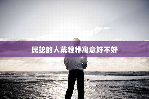 属蛇的人戴貔貅寓意好不好