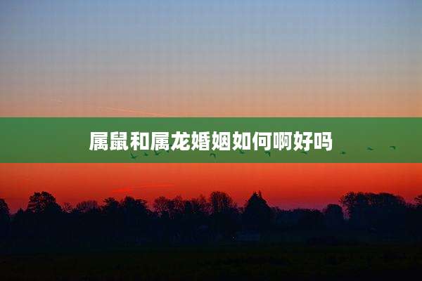 属鼠和属龙婚姻如何啊好吗