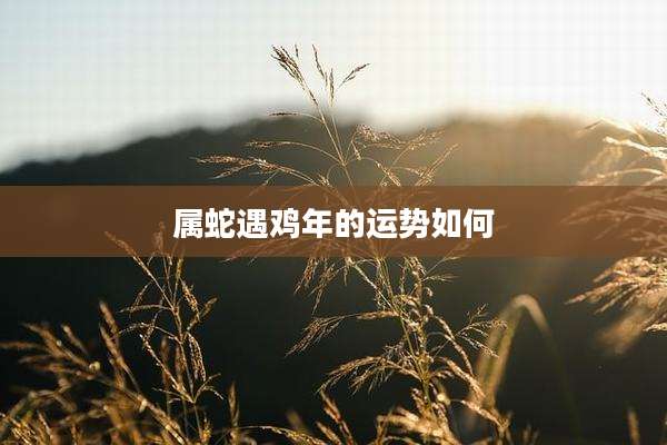 属蛇遇鸡年的运势如何