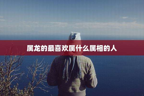 属龙的最喜欢属什么属相的人