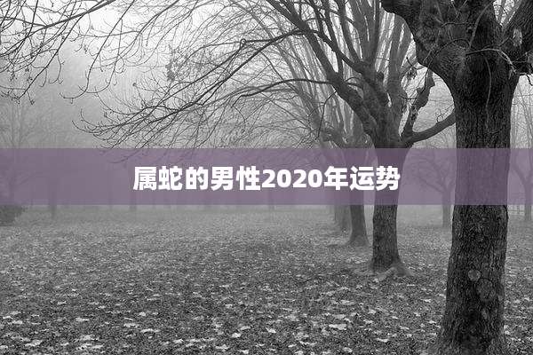 属蛇的男性2020年运势