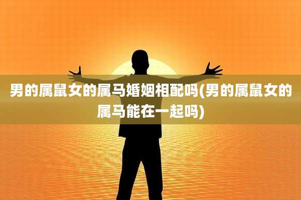 男的属鼠女的属马婚姻相配吗(男的属鼠女的属马能在一起吗)