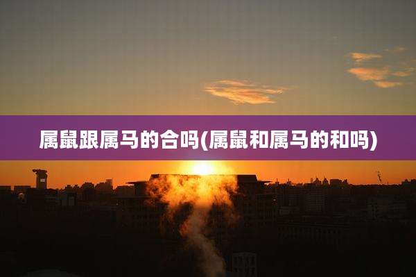 属鼠跟属马的合吗(属鼠和属马的和吗)