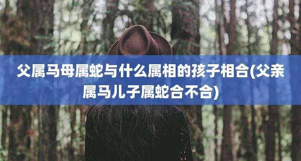 父属马母属蛇与什么属相的孩子相合(父亲属马儿子属蛇合不合)