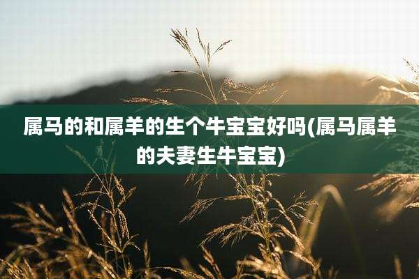 属马的和属羊的生个牛宝宝好吗(属马属羊的夫妻生牛宝宝)