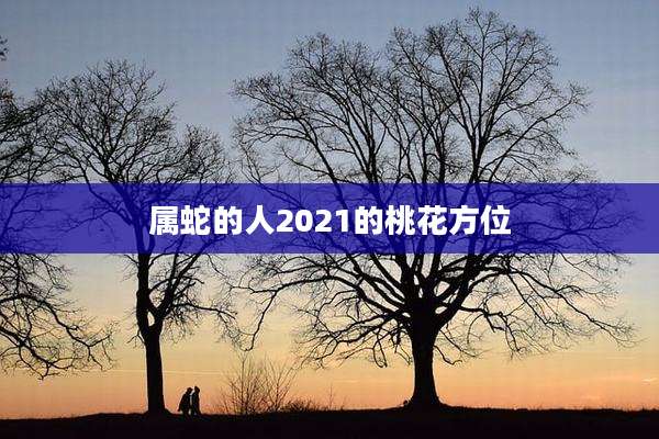 属蛇的人2021的桃花方位