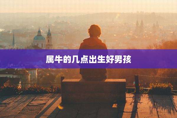 属牛的几点出生好男孩