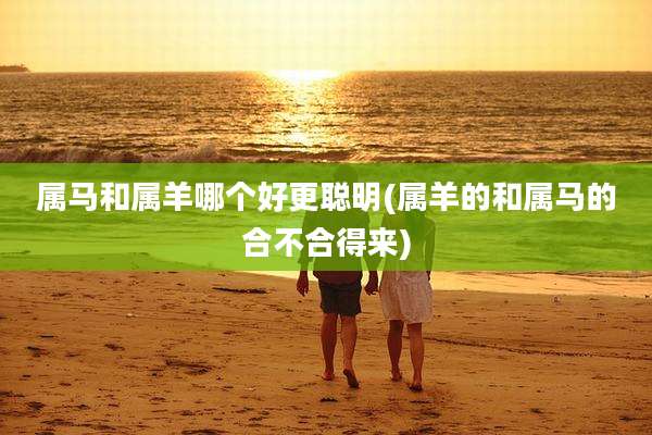 属马和属羊哪个好更聪明(属羊的和属马的合不合得来)