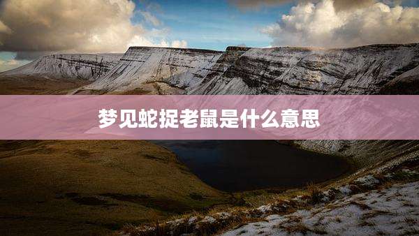 梦见蛇捉老鼠是什么意思