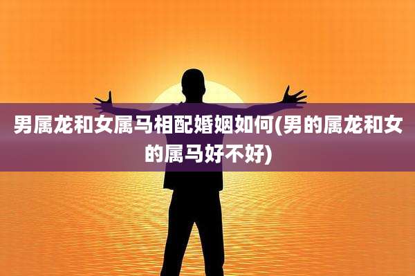 男属龙和女属马相配婚姻如何(男的属龙和女的属马好不好)