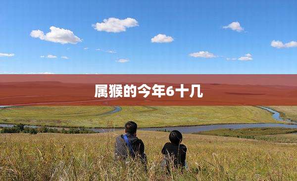 属猴的今年6十几