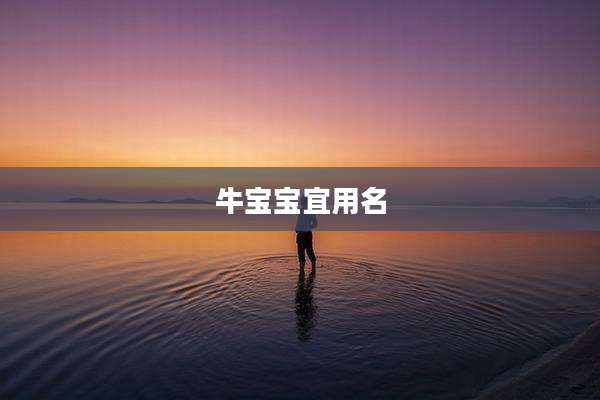 牛宝宝宜用名