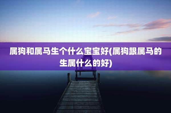 属狗和属马生个什么宝宝好(属狗跟属马的生属什么的好)