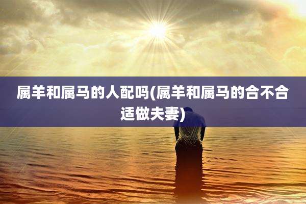 属羊和属马的人配吗(属羊和属马的合不合适做夫妻)