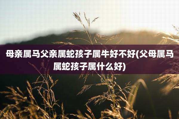 母亲属马父亲属蛇孩子属牛好不好(父母属马属蛇孩子属什么好)