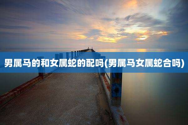 男属马的和女属蛇的配吗(男属马女属蛇合吗)