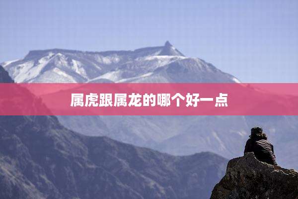 属虎跟属龙的哪个好一点