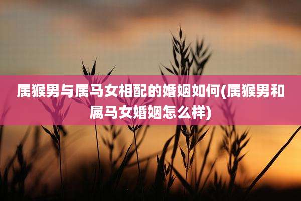 属猴男与属马女相配的婚姻如何(属猴男和属马女婚姻怎么样)