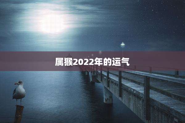属猴2022年的运气