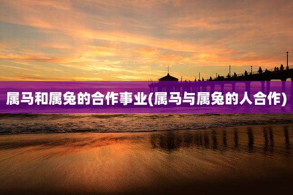 属马和属兔的合作事业(属马与属兔的人合作)