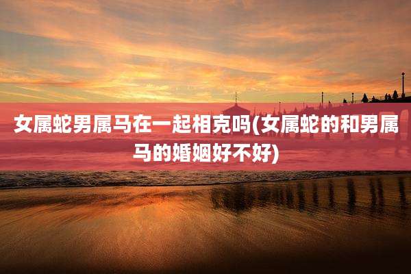 女属蛇男属马在一起相克吗(女属蛇的和男属马的婚姻好不好)