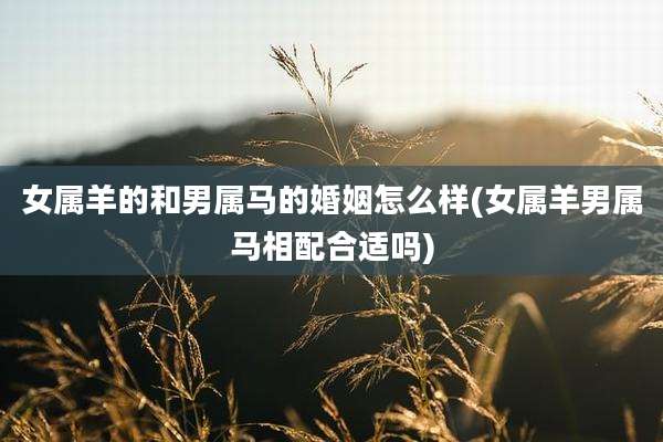 女属羊的和男属马的婚姻怎么样(女属羊男属马相配合适吗)