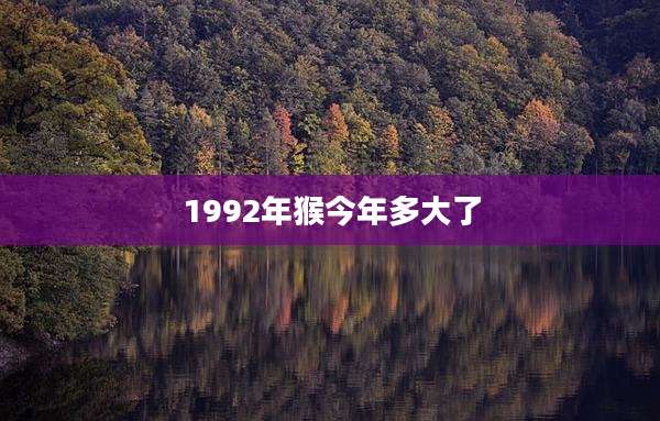 1992年猴今年多大了