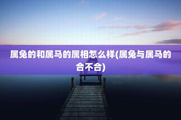 属兔的和属马的属相怎么样(属兔与属马的合不合)