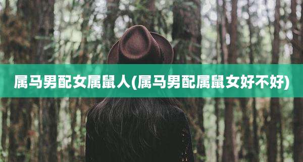 属马男配女属鼠人(属马男配属鼠女好不好)