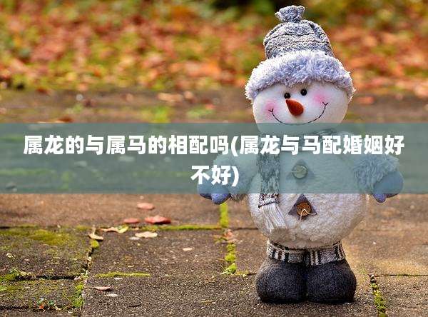 属龙的与属马的相配吗(属龙与马配婚姻好不好)
