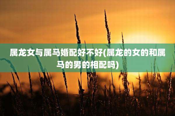 属龙女与属马婚配好不好(属龙的女的和属马的男的相配吗)