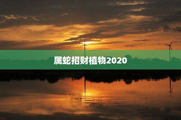 属蛇招财植物2020