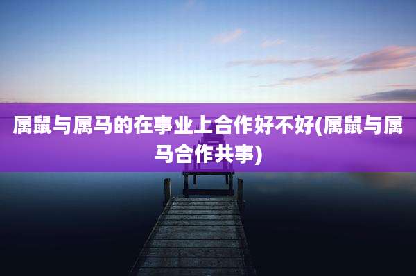 属鼠与属马的在事业上合作好不好(属鼠与属马合作共事)