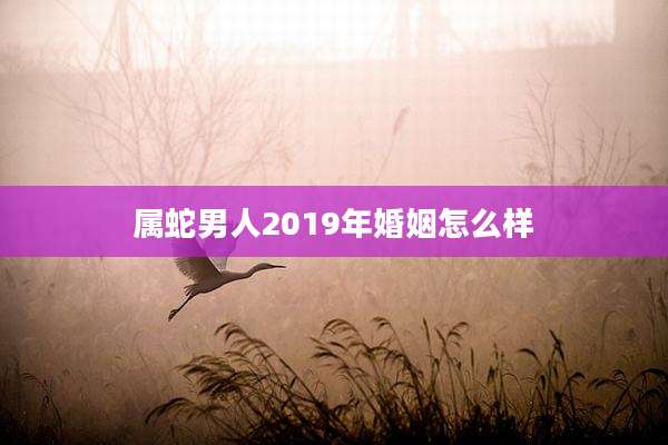 属蛇男人2019年婚姻怎么样