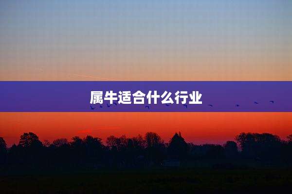 属牛适合什么行业