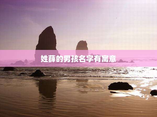 姓薛的男孩名字有寓意