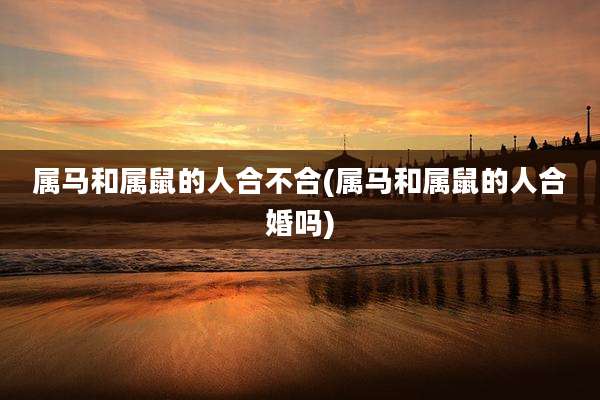 属马和属鼠的人合不合(属马和属鼠的人合婚吗)
