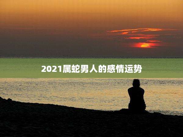 2021属蛇男人的感情运势