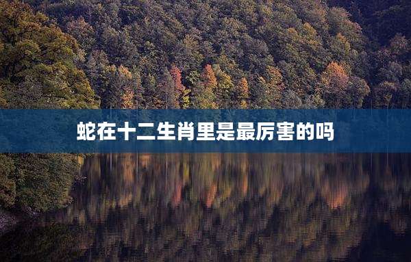 蛇在十二生肖里是最厉害的吗