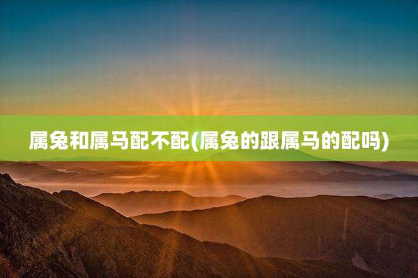 属兔和属马配不配(属兔的跟属马的配吗)
