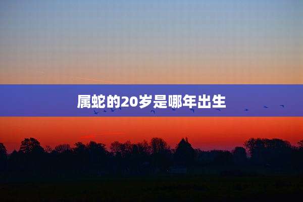 属蛇的20岁是哪年出生