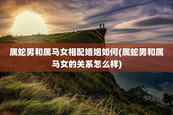 属蛇男和属马女相配婚姻如何(属蛇男和属马女的关系怎么样)
