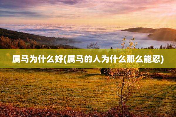 属马为什么好(属马的人为什么那么能忍)