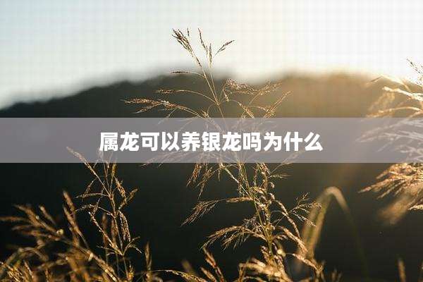 属龙可以养银龙吗为什么